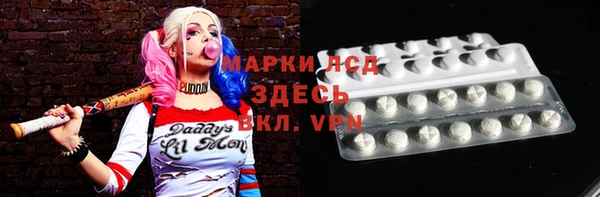 прущие грибы Богданович