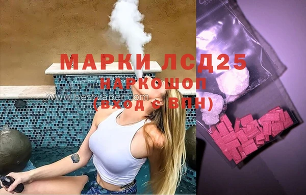 шишки Белоозёрский
