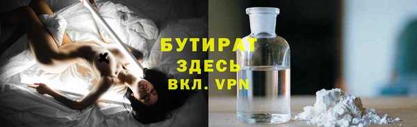 шишки Белоозёрский