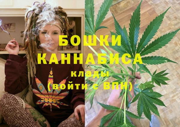 прущие грибы Богданович