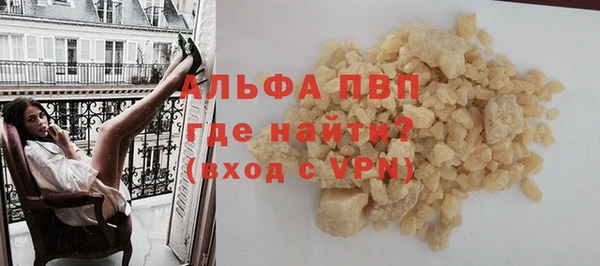 прущие грибы Богданович