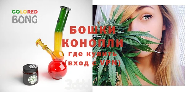 шишки Белоозёрский
