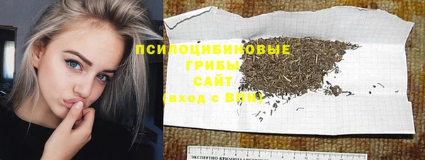 a pvp Белокуриха