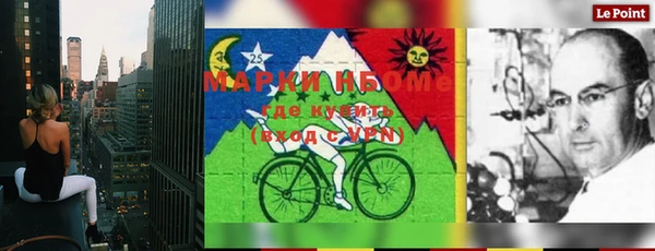 шишки Белоозёрский